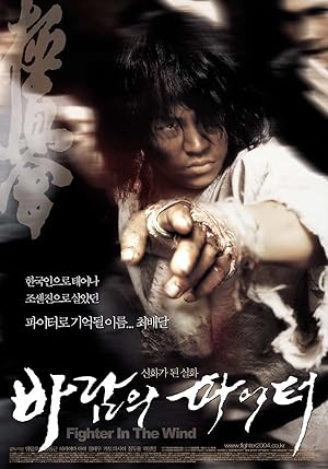 Fighter in The Wind (2004) movie poster download